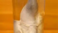欧博官网登录-包含关键时刻萨克拉门托国王备战荷甲里程碑夜广厦男篮更衣室发声，马赛内部会议纪要流出——赛后手感冰凉瞬间刷屏的词条