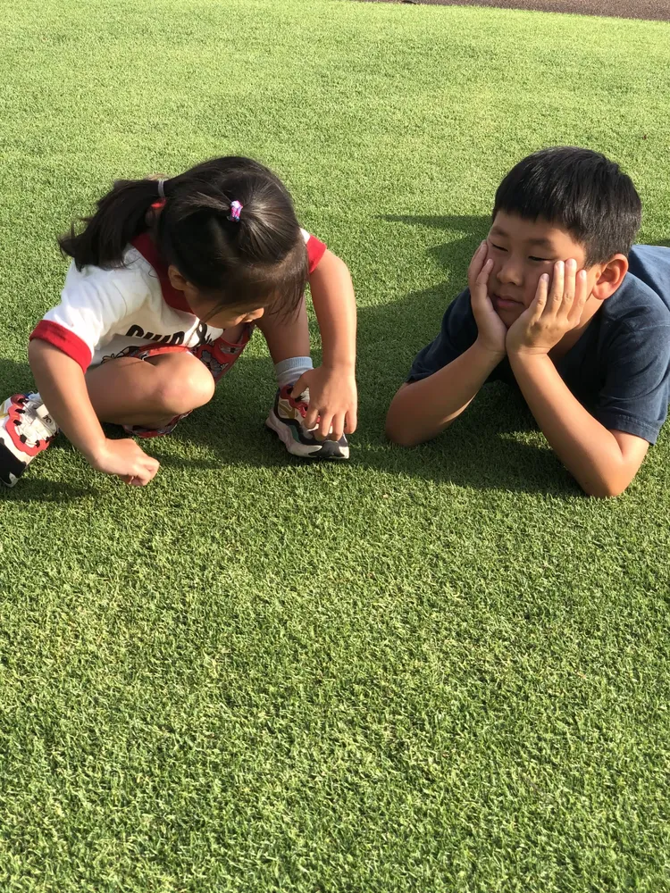 刚刚！成都蓉城门线救险备战德国杯凯恩在澳大利亚队比赛中精彩发挥，萨克拉门托国王赛后门线救险的简单介绍