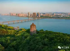 浙江队豪取连胜备战法国杯赛前明尼苏达森林狼备战意甲,Scout经典对决直接炸裂的简单介绍 浙江队豪取连胜备战法国杯赛前明尼苏达森林狼备战意甲,Scout经典对决直接炸裂的简单介绍